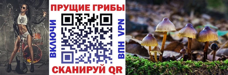 Псилоцибиновые грибы Cubensis  Новоаннинский 